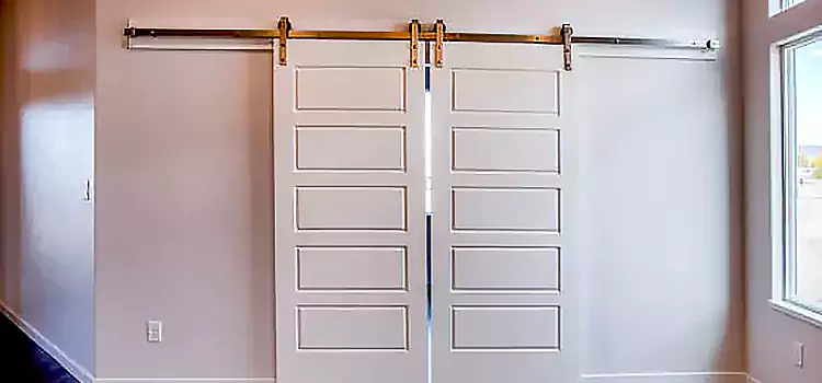 Glass Barn Door with Installation Hardware Kit Meriden